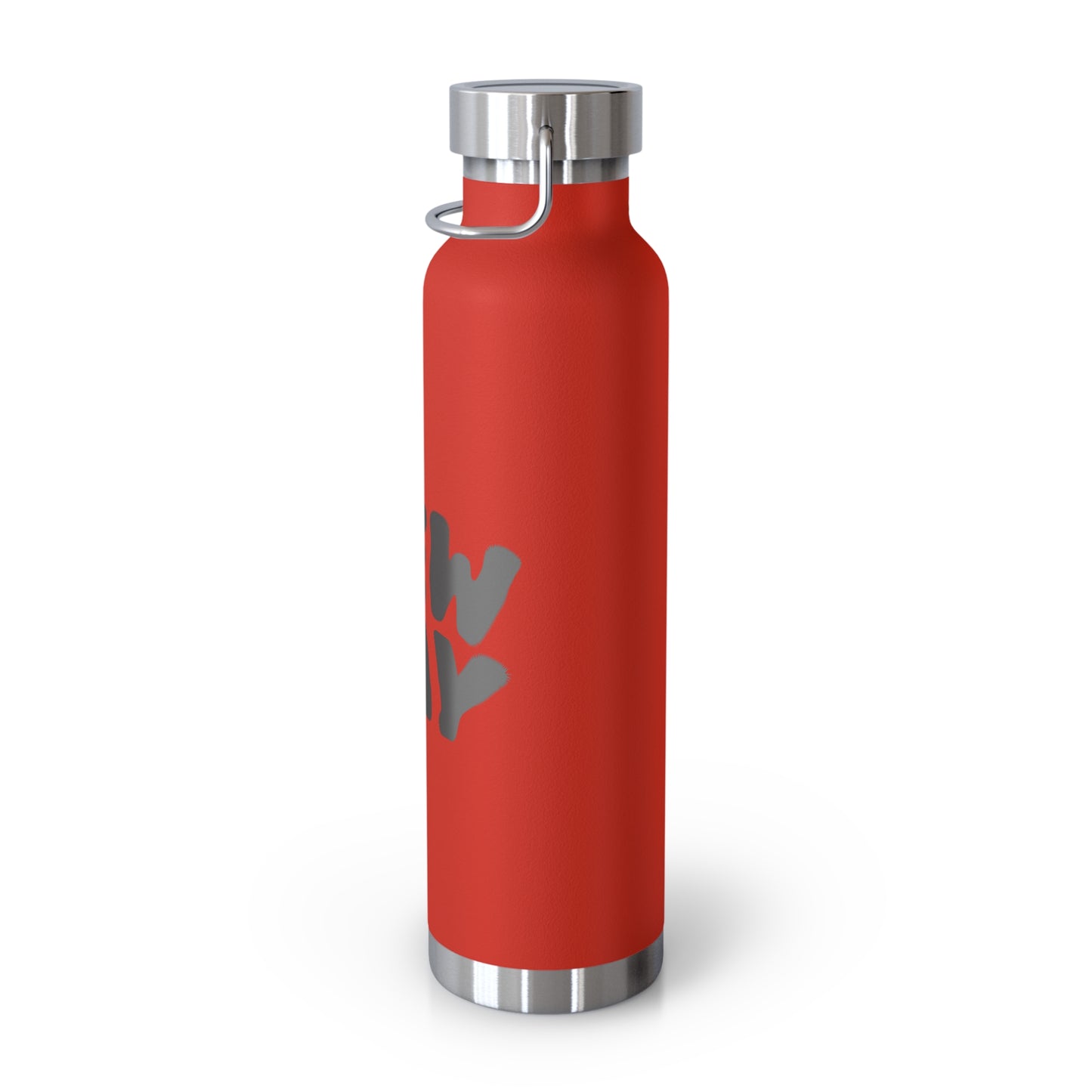 New Day 22oz Insulated Water Bottle — Copper Vacuum Thermal Bottle