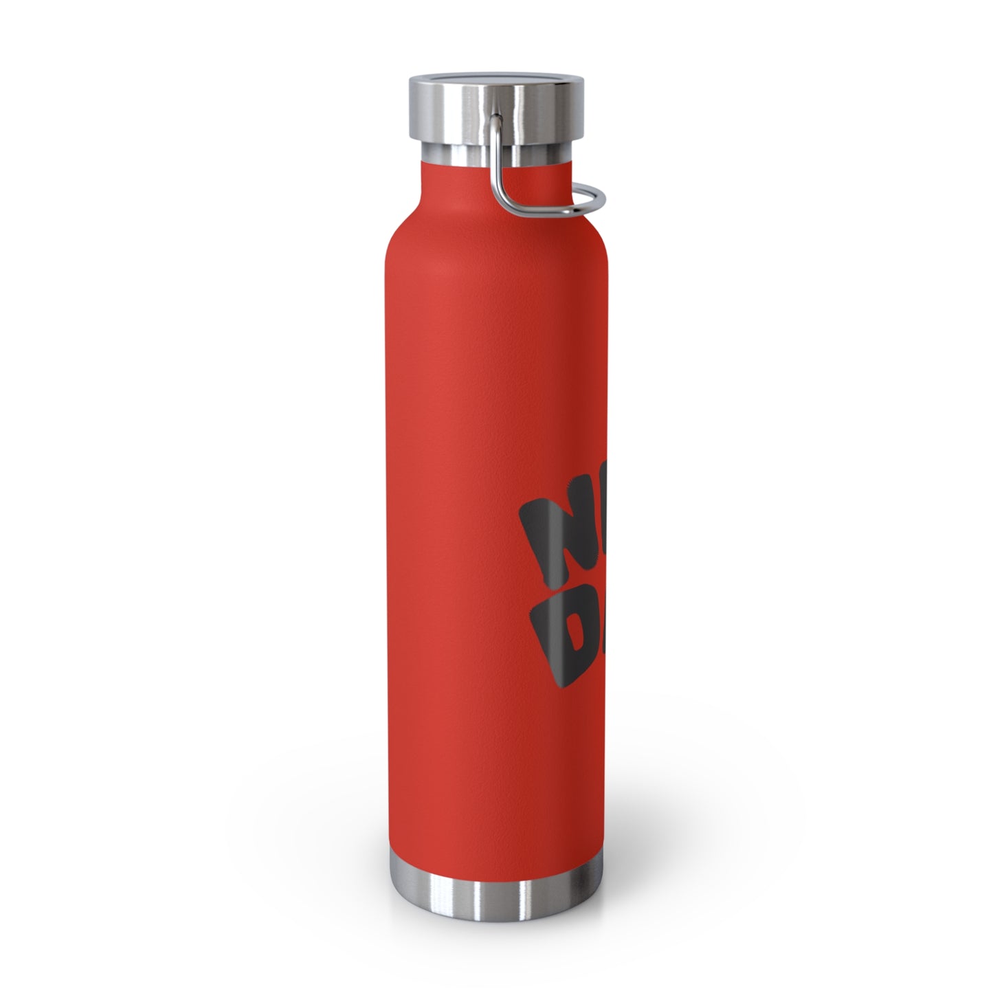 New Day 22oz Insulated Water Bottle — Copper Vacuum Thermal Bottle
