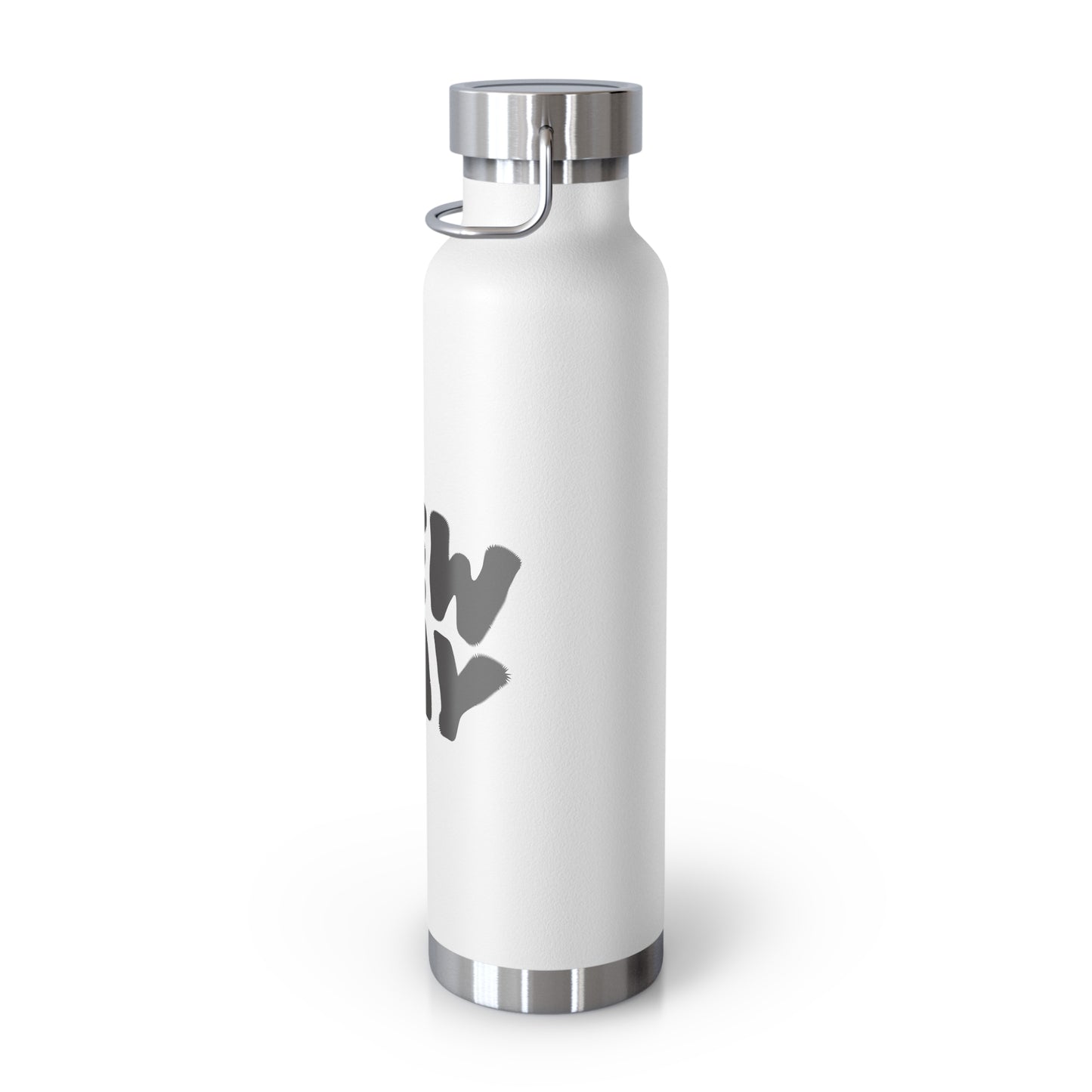New Day 22oz Insulated Water Bottle — Copper Vacuum Thermal Bottle